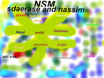 nsm houmti